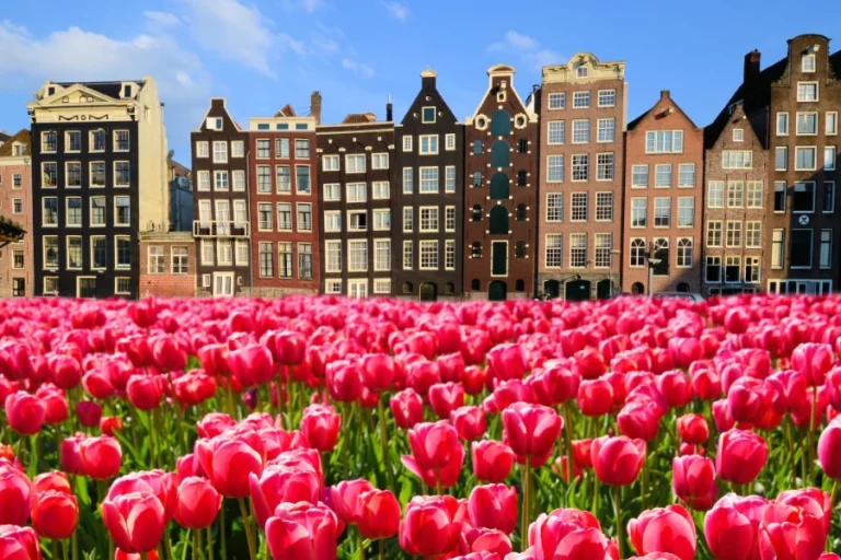 Amsterdamse woonervaringen: leven in het kloppend hart van Nederland